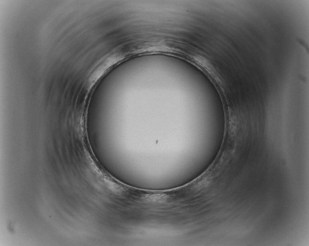X0000102471282200808081241