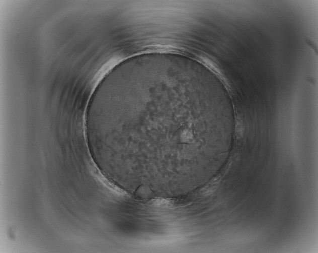 X0000102471283200808081241