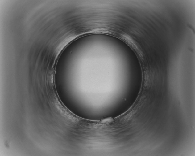 X0000102471284200808081241