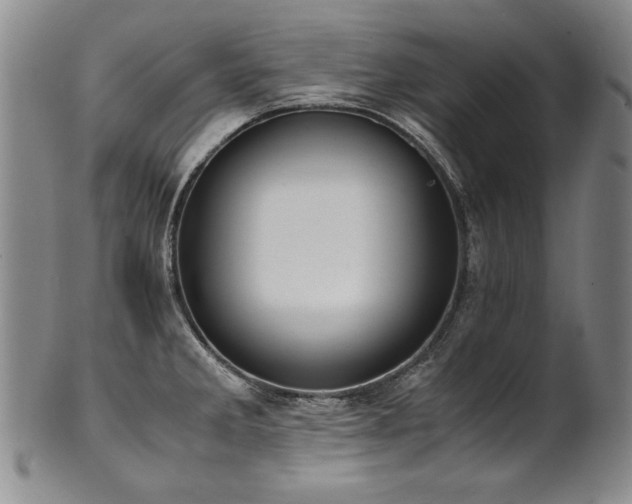 X0000102471285200808081241