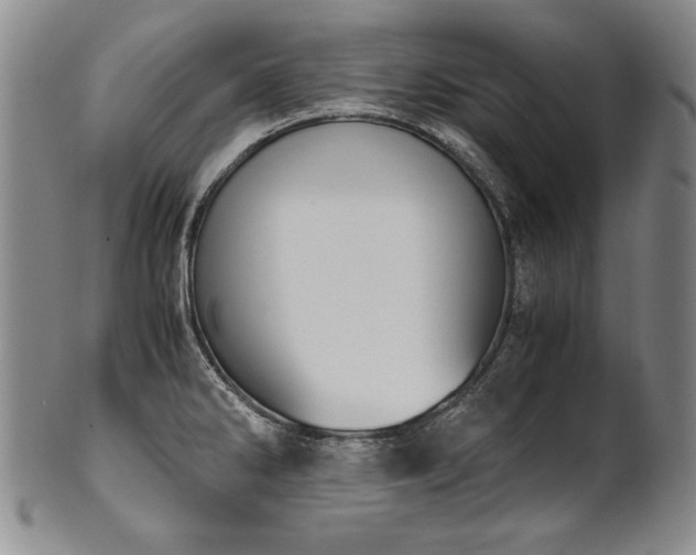X0000102471286200808081241