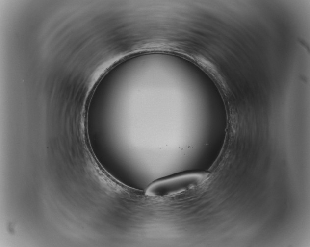 X0000102471288200808081241