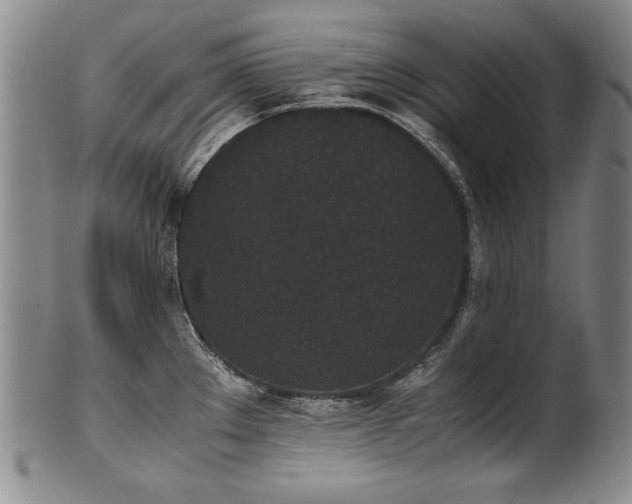 X0000102471289200808081241