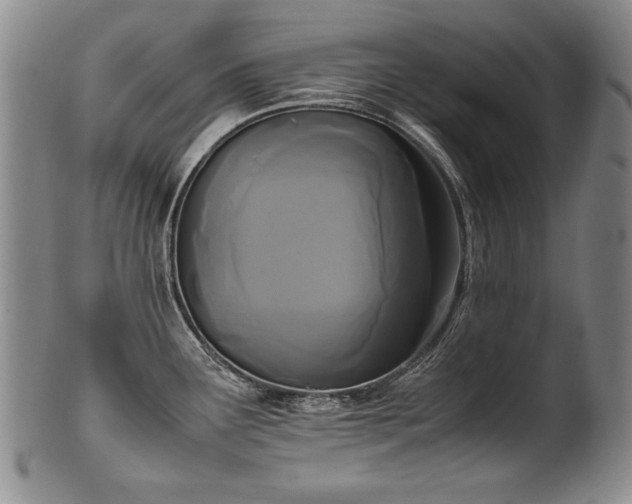 X0000102471291200808081241