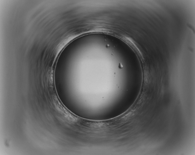 X0000102471292200808081241