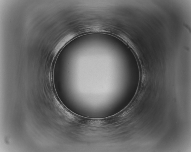 X0000102471293200808081241