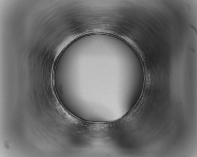 X0000102471294200808081241