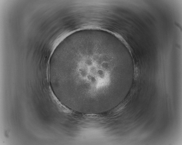 X0000102471295200808081241