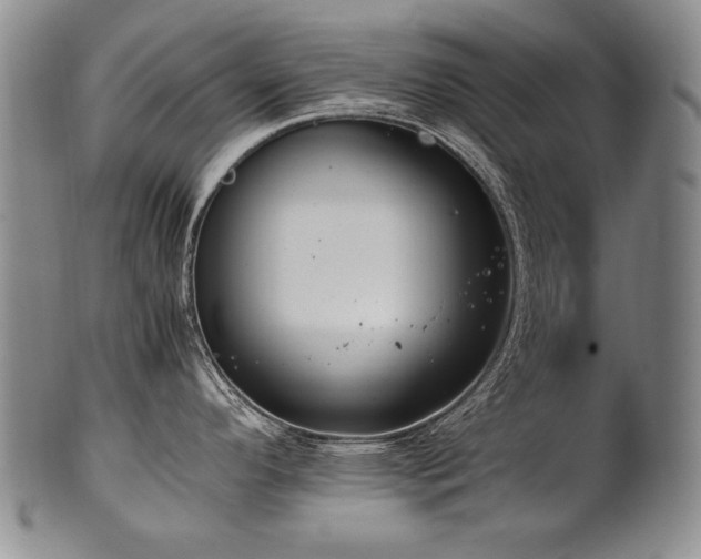 X0000102471296200808081241