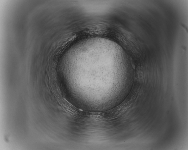 X0000102471297200808081240