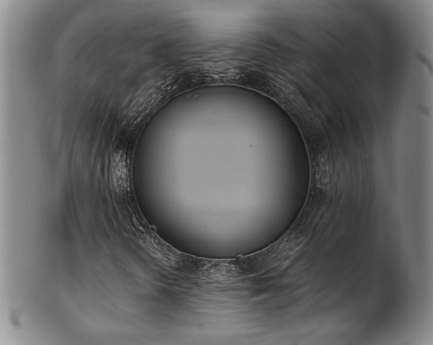 X0000102471298200808081240