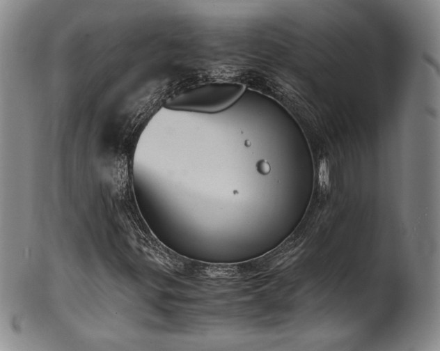 X0000102471299200808081240