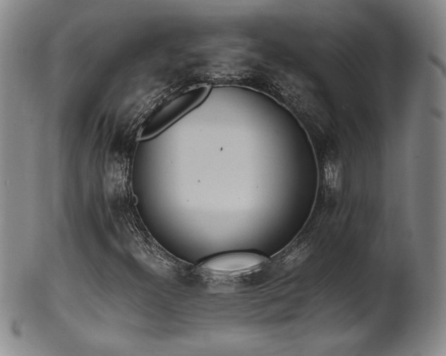 X0000102471300200808081240