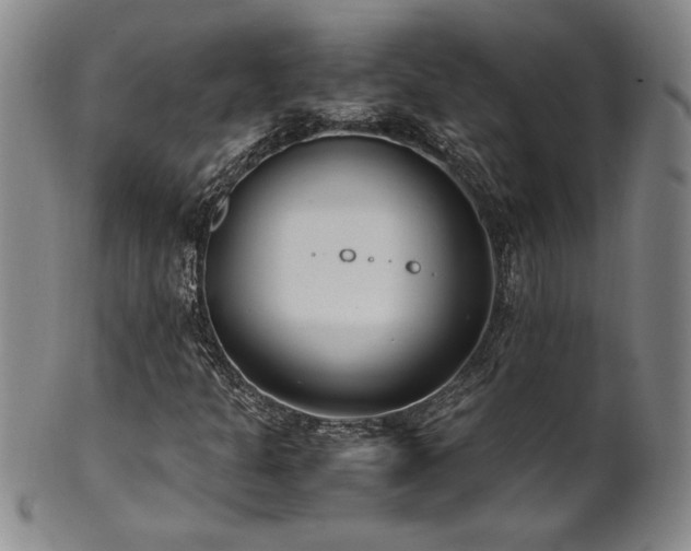 X0000102471301200808081240
