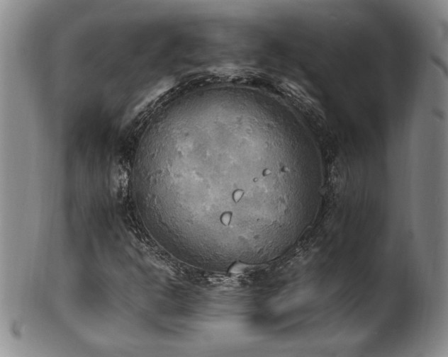 X0000102471302200808081241