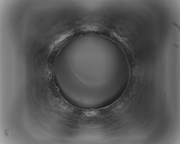 X0000102471303200808081241