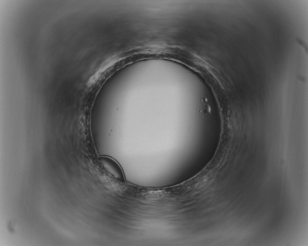 X0000102471304200808081241