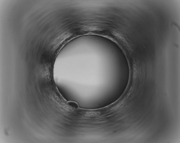 X0000102471305200808081241