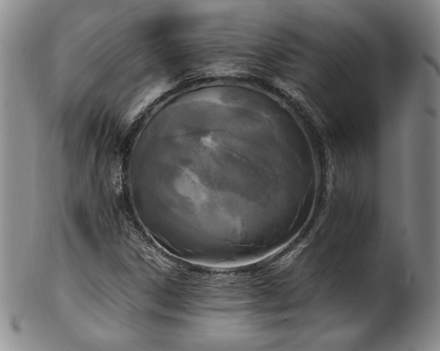 X0000102471306200808081241