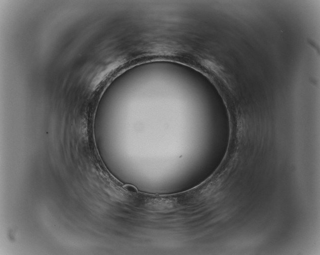 X0000102471307200808081241