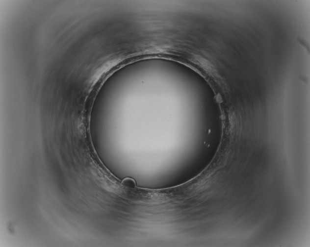 X0000102471308200808081241