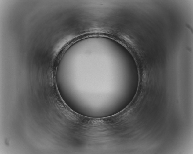 X0000102471310200808081241