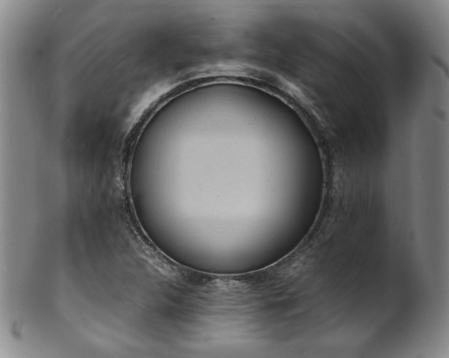 X0000102471312200808081241