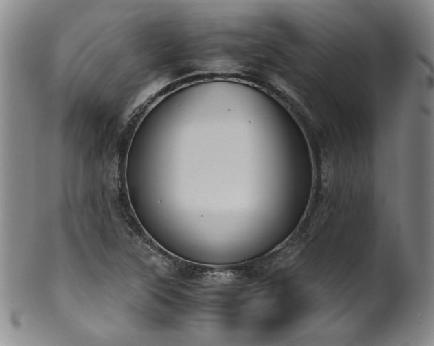 X0000102471315200808081241