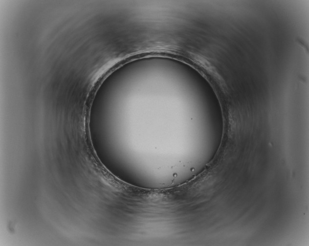 X0000102471316200808081241
