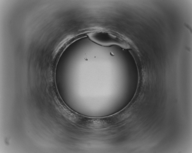 X0000102471318200808081241