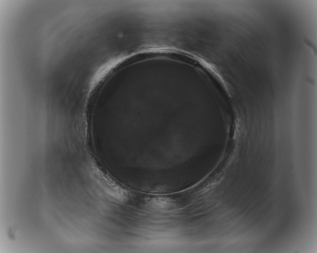 X0000102471319200808081241