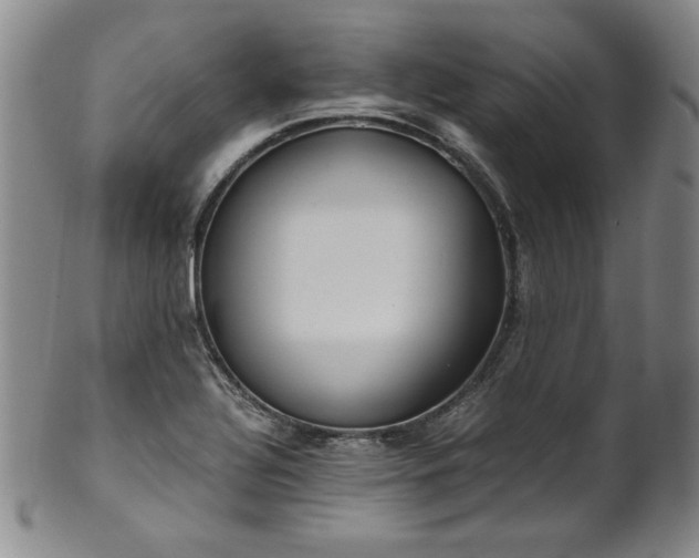 X0000102471320200808081241