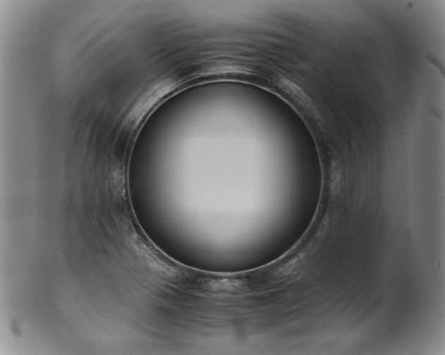 X0000102471321200808081241