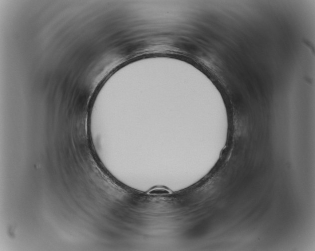 X0000102471322200808081241