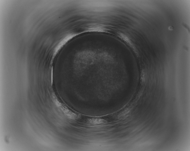 X0000102471323200808081241