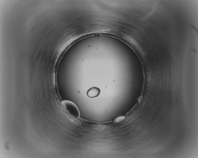 X0000102471324200808081241