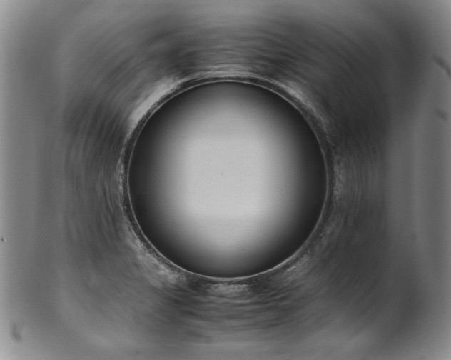 X0000102471325200808081241