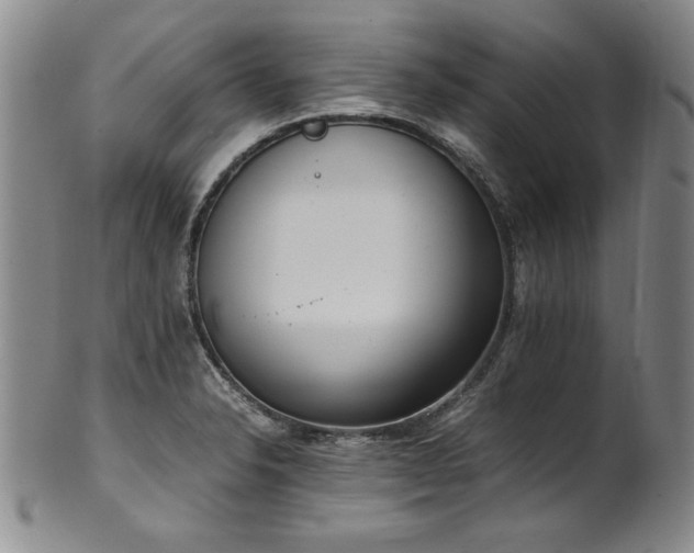 X0000102471326200808081241