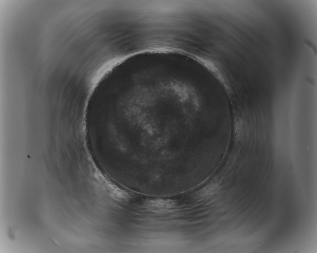 X0000102471327200808081241
