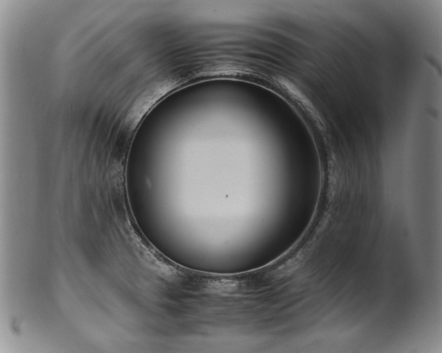 X0000102471329200808081241