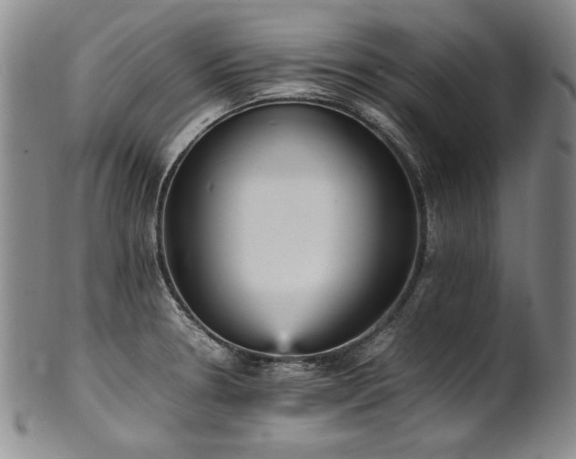 X0000102471330200808081241