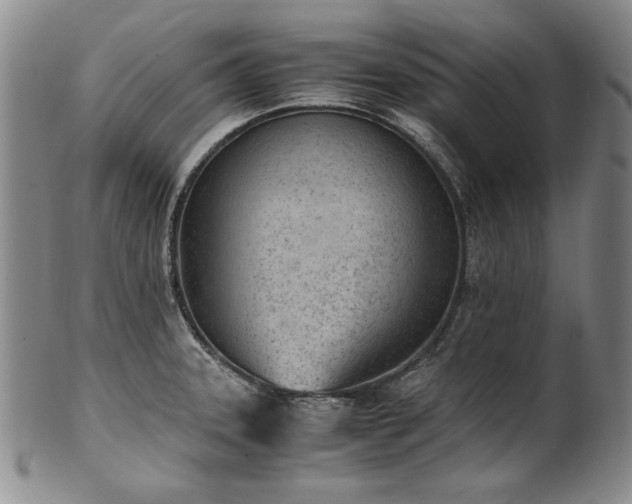 X0000102471331200808081241