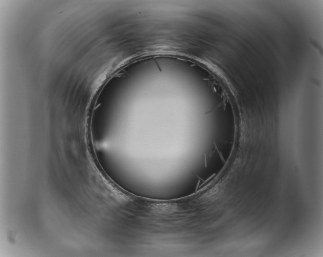 X0000102471333200808081241
