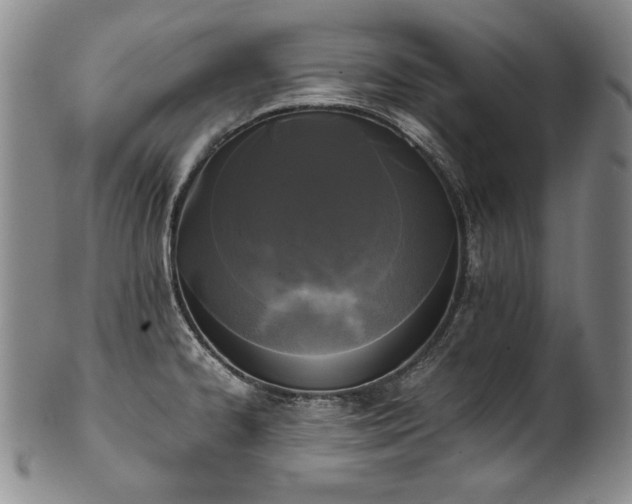 X0000102471334200808081241