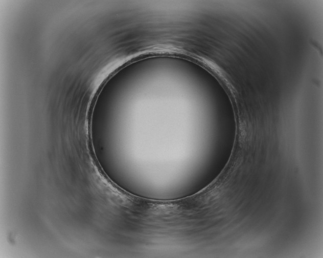 X0000102471335200808081241