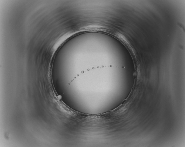 X0000102471336200808081241
