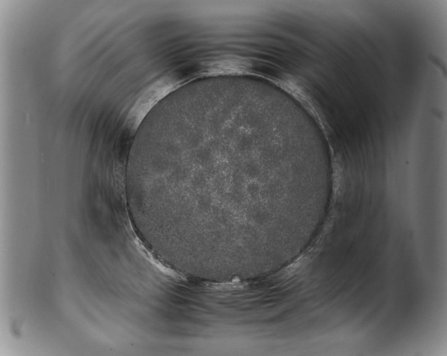 X0000102471337200808081241