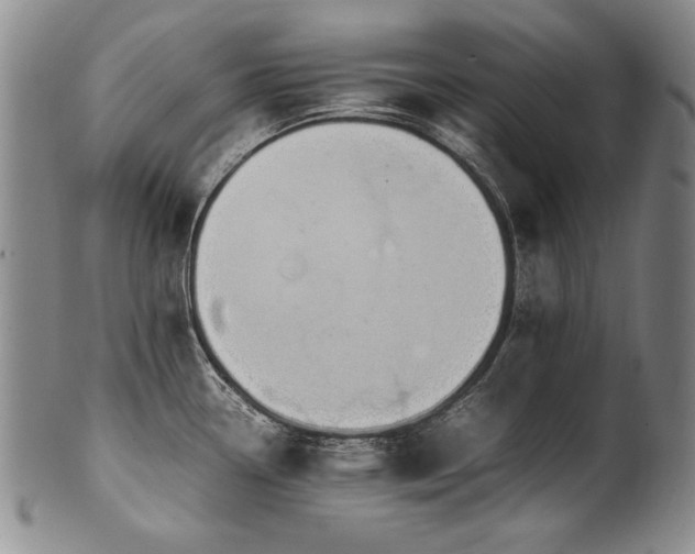 X0000102471338200808081241