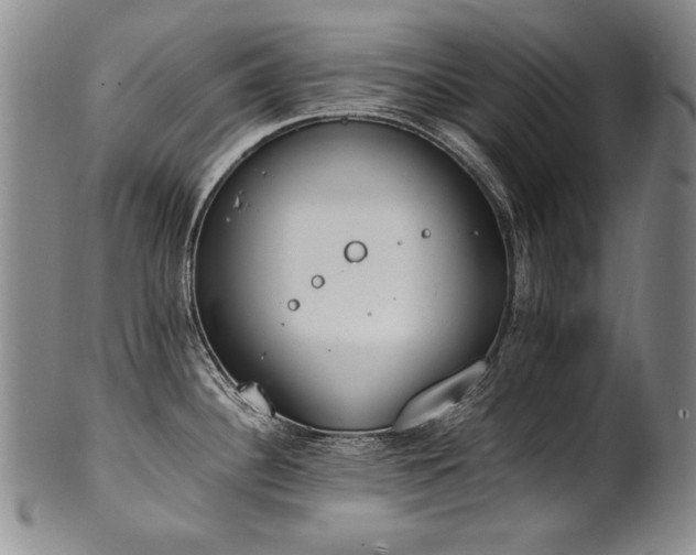 X0000102471340200808081241