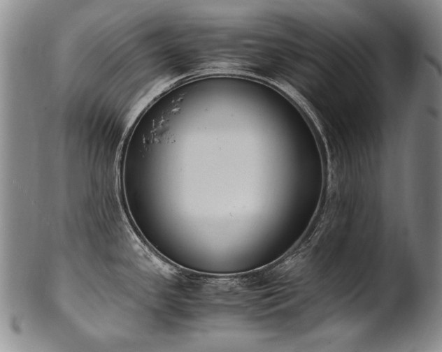 X0000102471341200808081241